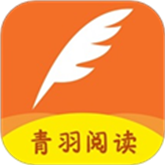 成人看视频APP应用